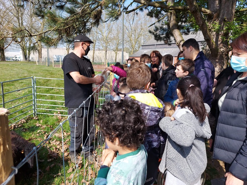 Eco-Pâturages La Bêle Tondeuse